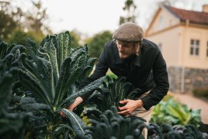 Gunnebos trädgårdar