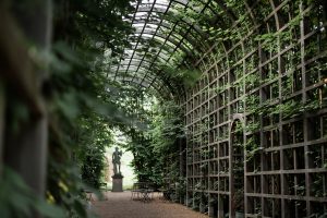 Treillage för trädgårdsbröllop, sandad gång omgiven av grönska